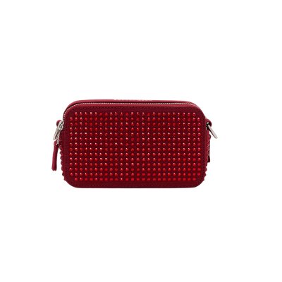 THE CRYSTAL CANVAS SNAPSHOT